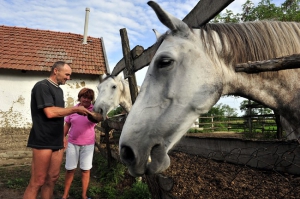 Ismét felfedezték a turisták a falvakat Ismét felfedezték a turisták a falvakat