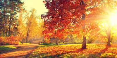 Ha itt a téli depresszió, többet menj ki a fényre!