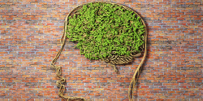 Tudatos életmód demencia helyett