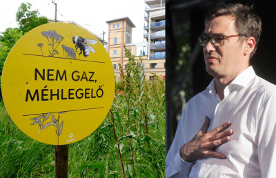 megismerni az egyik, vagy a