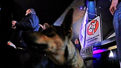 Százmilliót is kaphat a Kétfarkú Kutya párt