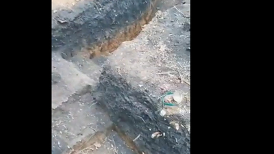 Váratlan vendég látogatta meg az ukrán katonákat a lövészárokban (videó)