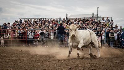 Veszedelmes mulatság piros pünkösd napján