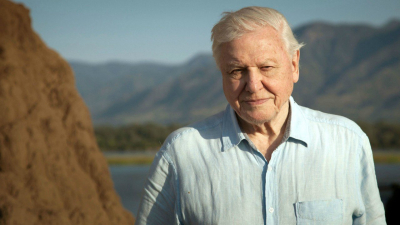 Ha David Attenborough új filmje nem érint meg, akkor nyugodtan fordulj orvoshoz