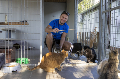 A menhelyek kiemelt figyelemre és támogatásra szorulnak: "Sokan a puszta fennmaradással küzdenek”(x) A menhelyek kiemelt figyelemre és támogatásra szorulnak: "Sokan a puszta fennmaradással küzdenek”(x)