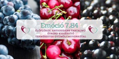 A TERMÉSZETES VÉDŐBÁSTYA (x)