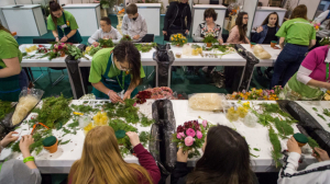 Már nem sokáig szerezhető OKJ-s képesítés tanfolyami formában
