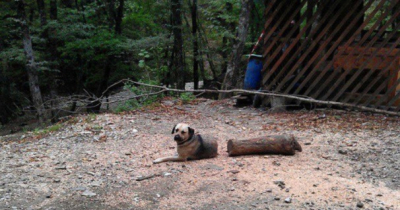 Nem hiszel majd a szemednek! A legmegtévesztőbb optikai csalódások