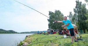 Madár kicselezi a balatoni halakat is