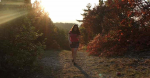 Tollal túrázni - avagy látnivalók és ládák