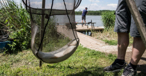 Helyüket keresik az utószezonban a balatoni horgászok