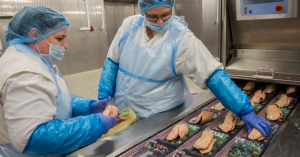 Beszűkült a liba- és a kacsamáj piaca