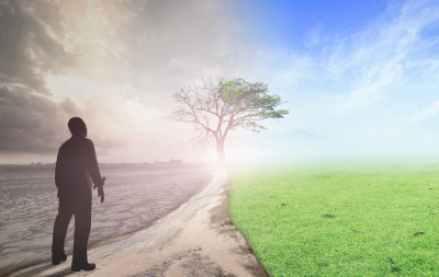 Így is csökkenthetjük karbonlábnyomunkat