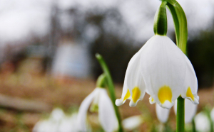 Kisüt a nap, akár 16 fok!