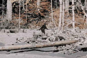 Szenzáció! Lencsevégre kapták Észak-Amerika legkeresettebb szörnyetegét