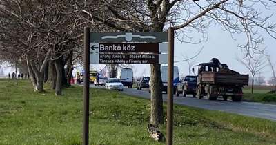 Elgázoltak egy 16 éves lányt Tác térségében