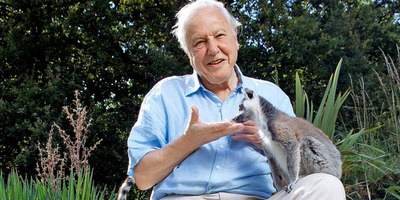 Ki fog halni az emberiség? Sir David Attenborough válaszolt