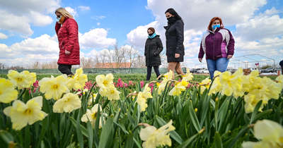 Kukkantson be a mórahalmi virágos kertbe! – Fotók