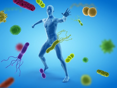 Fontos felfedezést tettek magyar kutatók az immunrendszerrel kapcsolatban