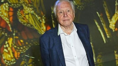 Egy szempillantás alatt omlott össze David Attenborough élete — Ő volt a 99 éves tudós egyetlen szerelme