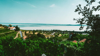 origo.hu